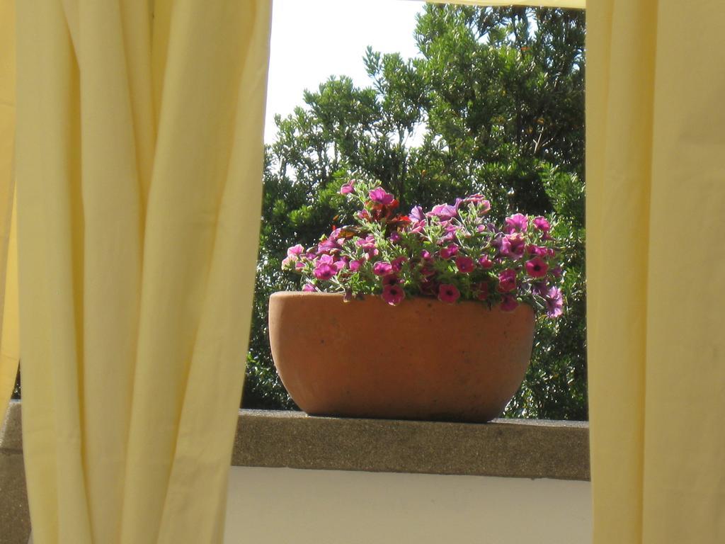 Quinta Do Rossio, Rural Tourism Séjour à la ferme *